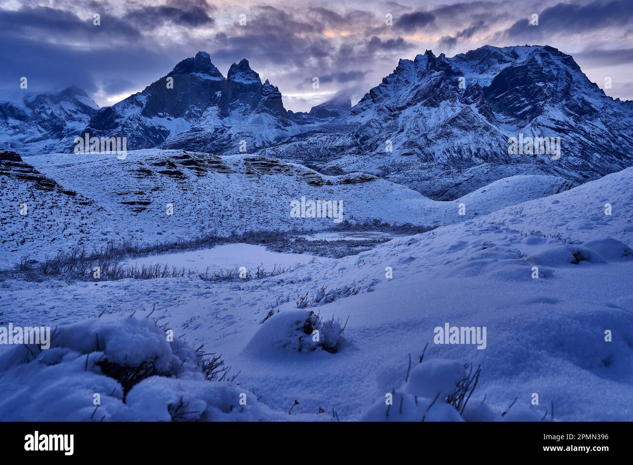 Fauna del lago hi-res stock photography and images - Alamy