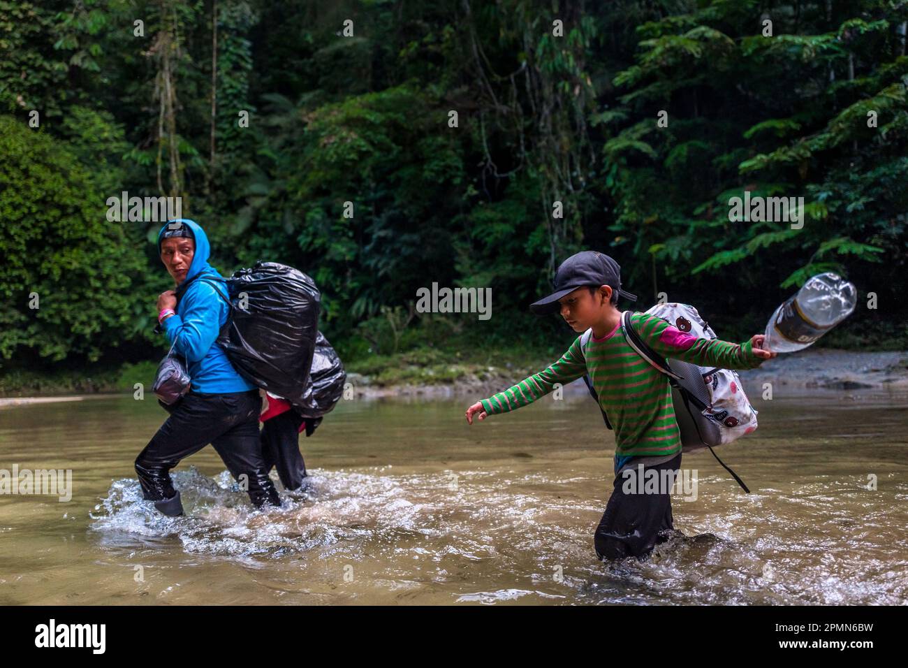 A Ecuadorian family of migrants walks through the river in the wild and dangerous jungle of the Darién Gap between Colombia and Panamá. Stock Photo