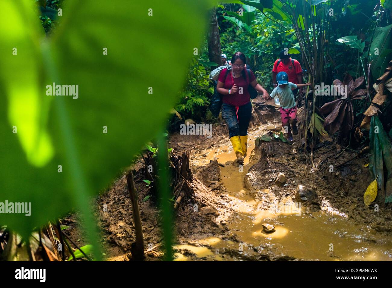 An Ecuadorian migrant, accompanying her daughter, walks through a muddy trail in the dangerous jungle of the Darién Gap between Colombia and Panamá. Stock Photo