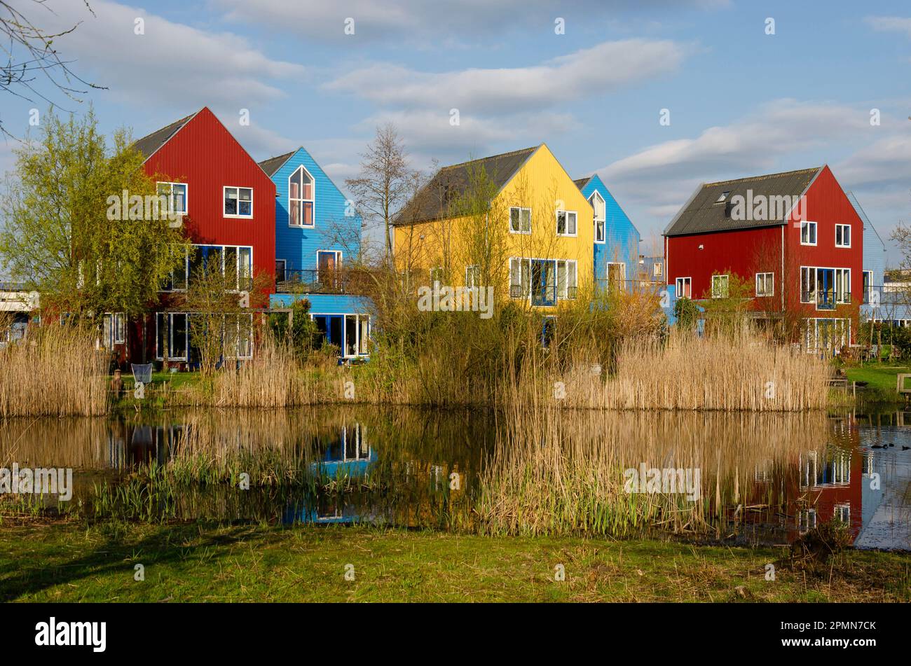 Culemborg, The Netherlands, April 8, 2023: Scandinavian style houses with wooden facades in primary colors reflect in a pond in the golden hour on an Stock Photo