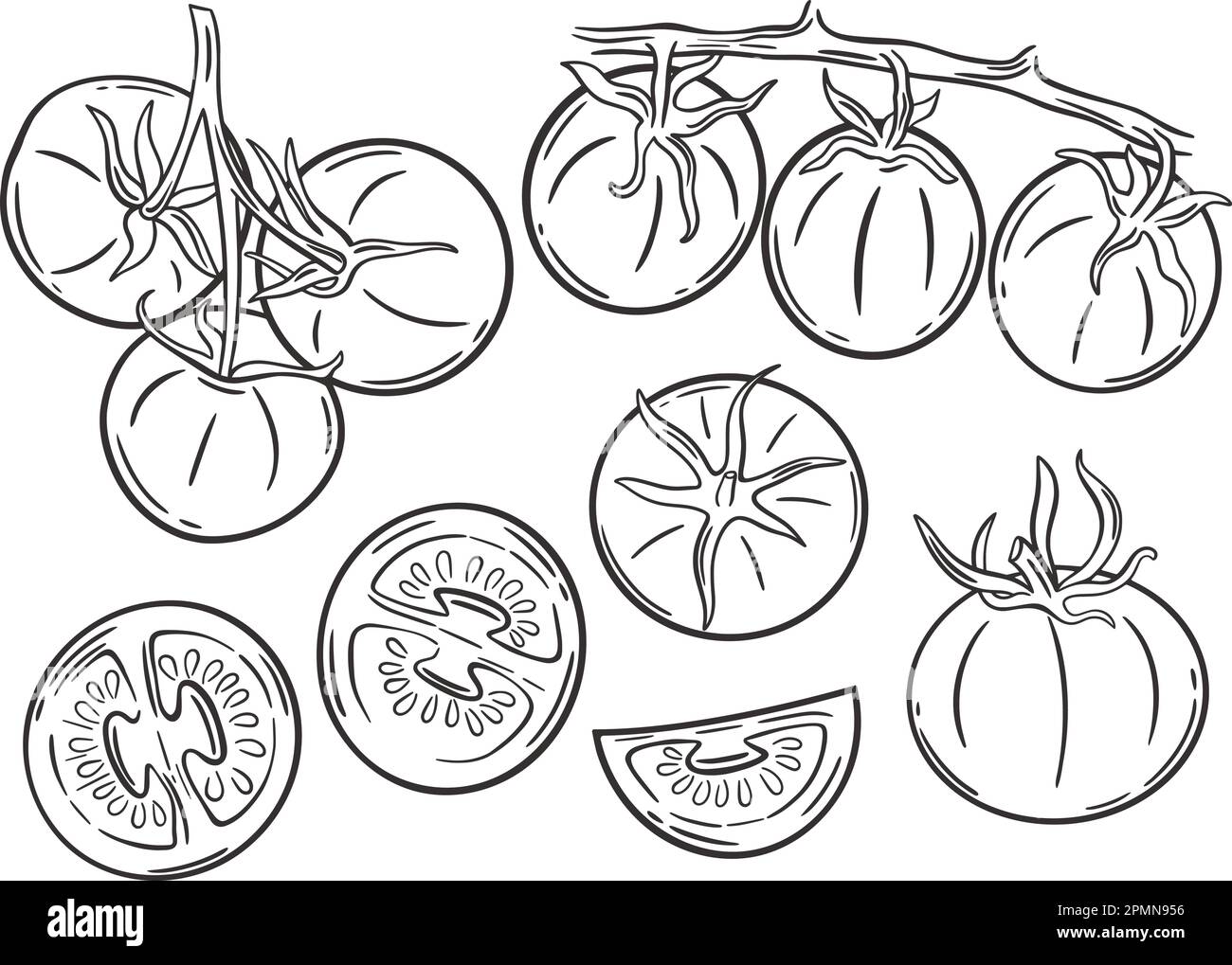 Tomatoes hand engraving set Stock Vector Image & Art - Alamy
