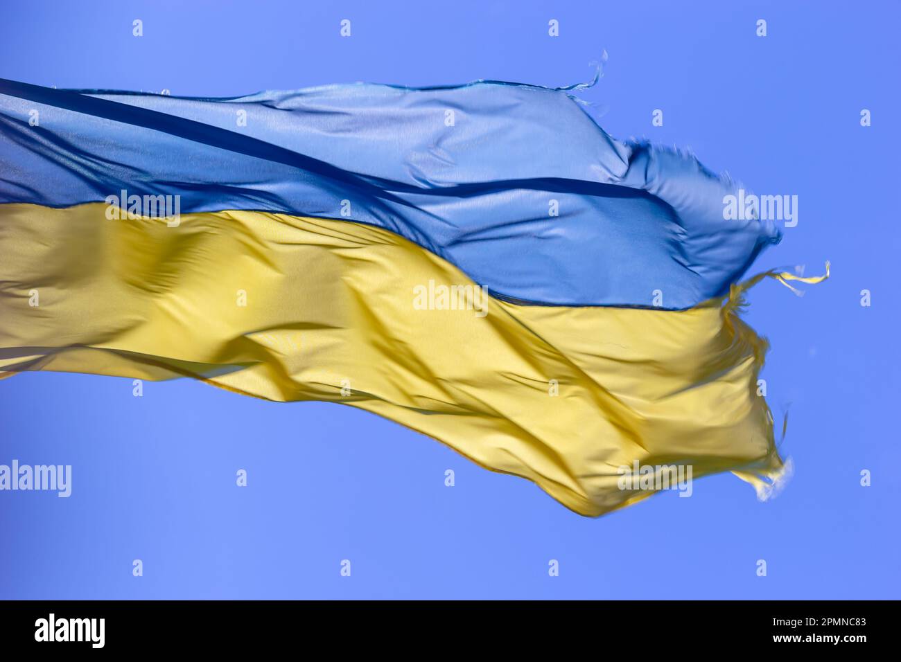 Ukraine flag isolated on the blue sky with clipping path. close up waving flag of Ukraine. flag symbols of Ukraine. Stock Photo
