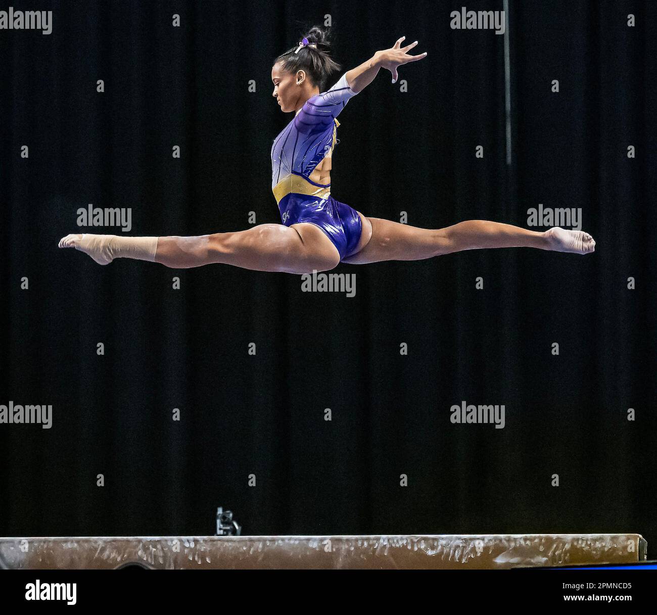 Lsu gymnastics hires stock photography and images Alamy