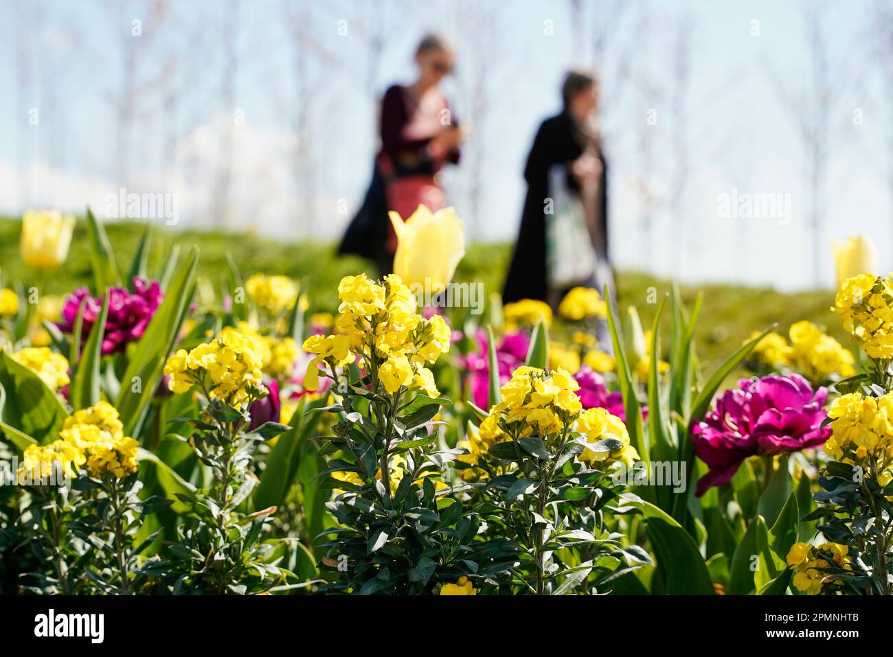 Mannheim, Germany. 14th Apr, 2023. Visitors walk past a flower bed at