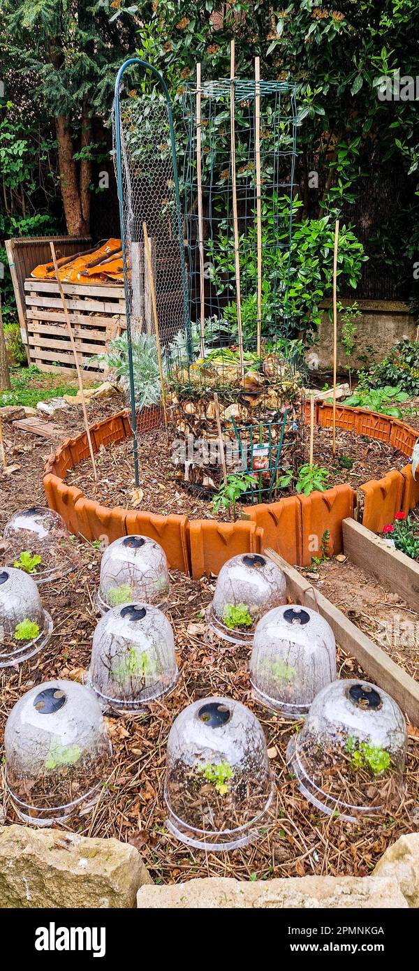 Early spring view of a private organic garden, Bron, France Stock Photo ...