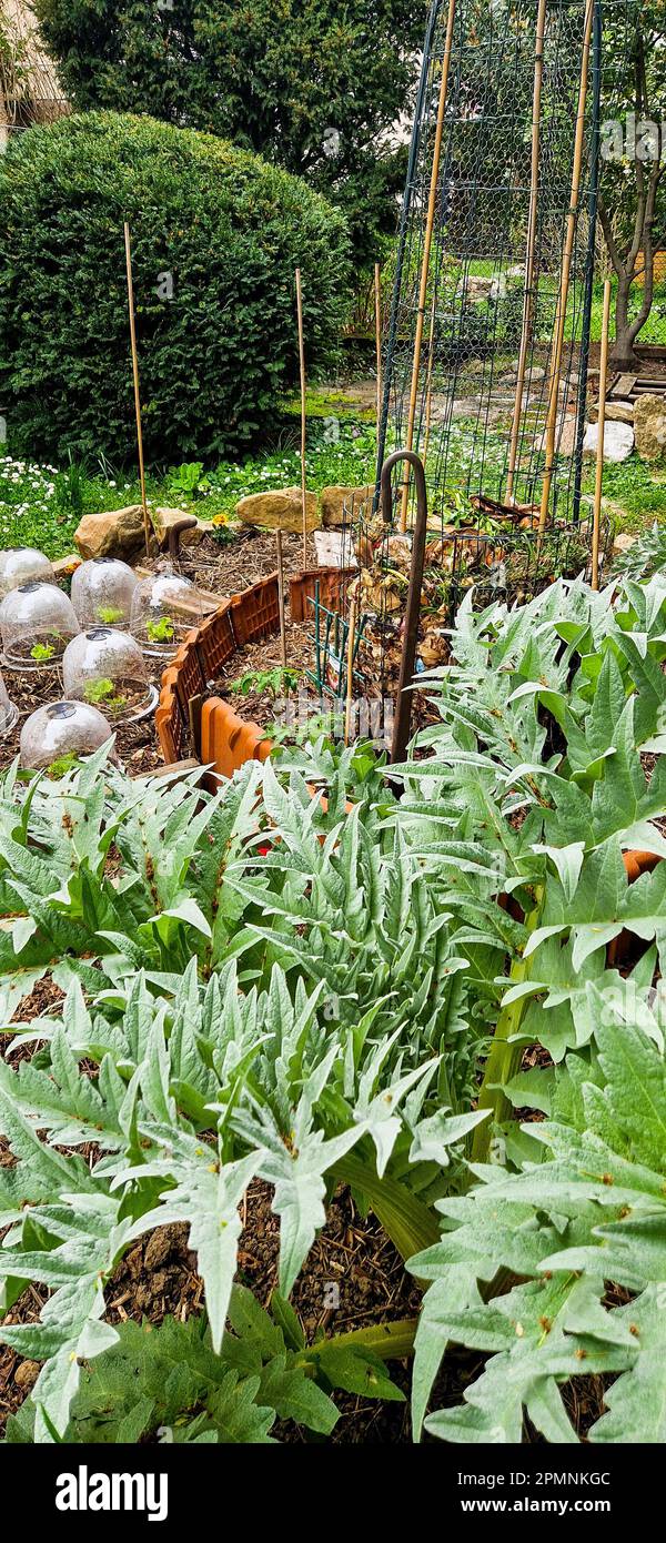 Early spring view of a private organic garden, Bron, France Stock Photo ...