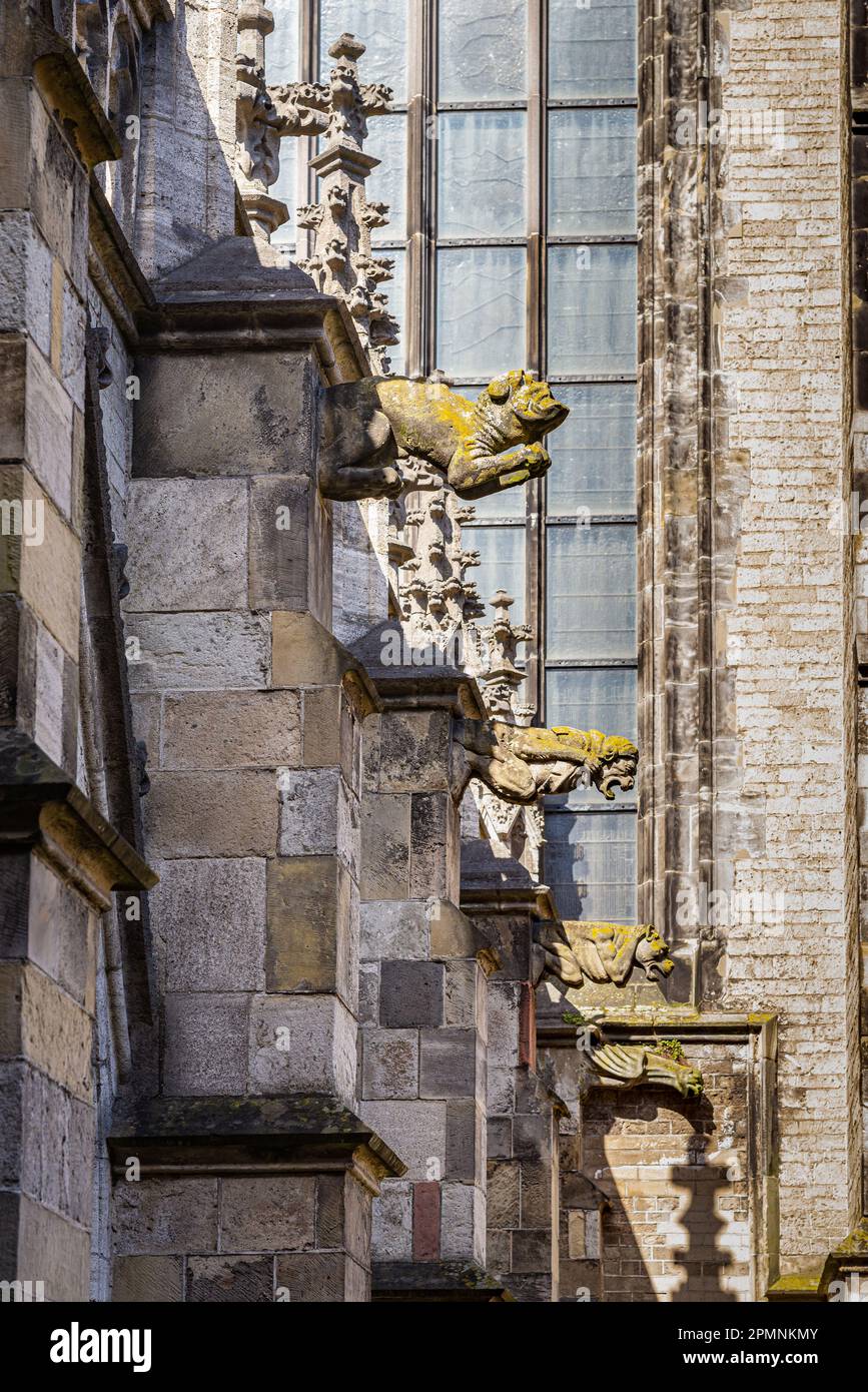 02 April 2023, Utrecht, Netherlands, St. Martin's Cathedral, Utrecht, or Dom Church, is a Gothic church dedicated to Saint Martin of Tours Stock Photo