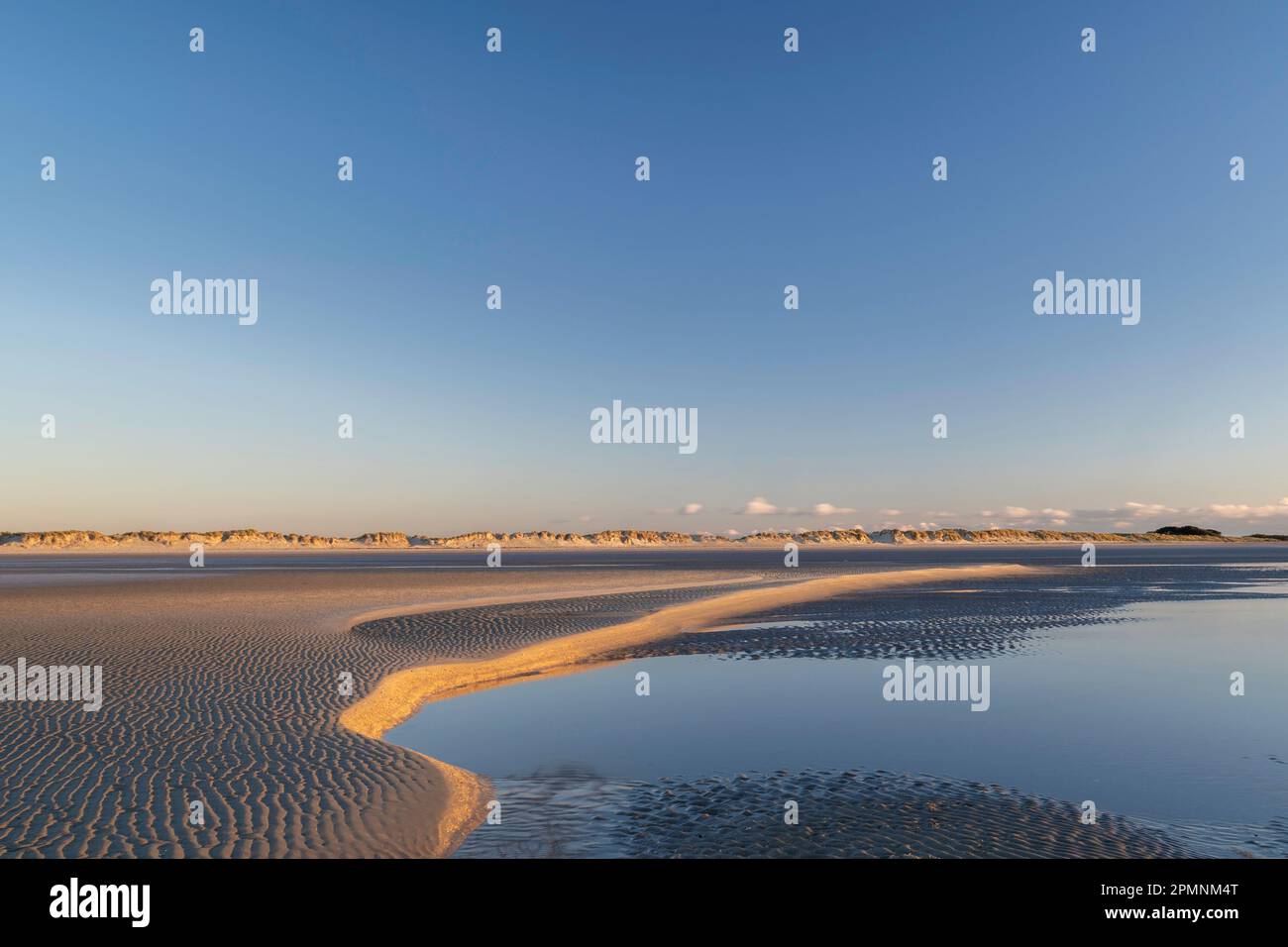 Sculptured Golden sand reflecting the sinking sun at low tide on West Wittering beach Stock