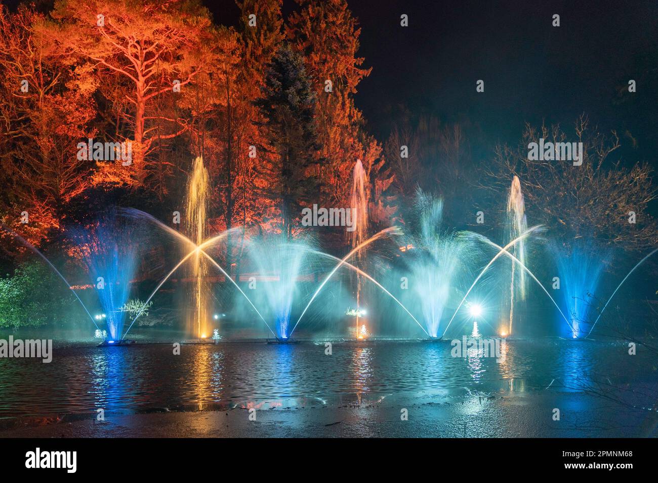 Leonardslee Lakes and Gardens illuminated just before Christmas Stock