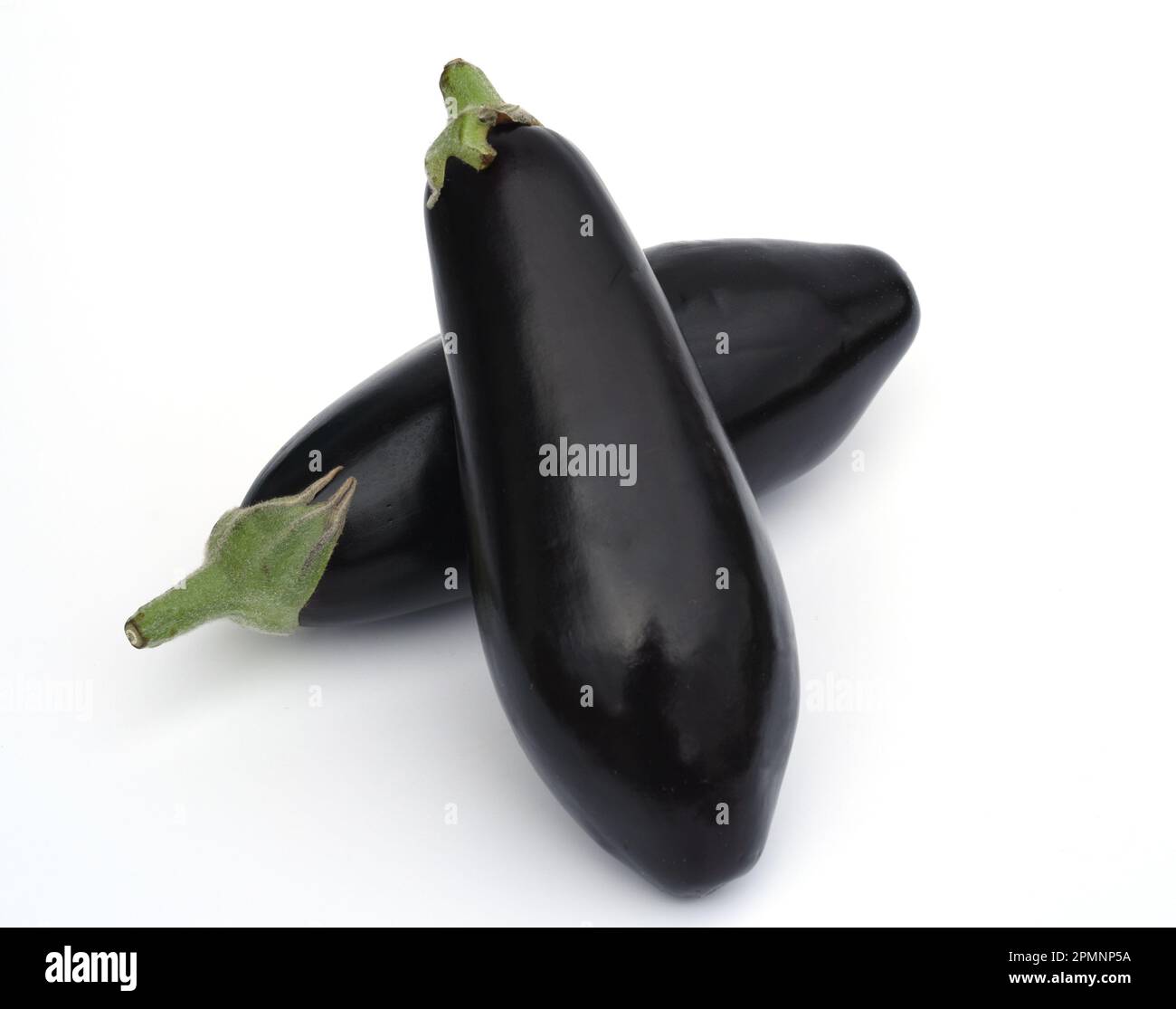 Aubergine, Solanum melongena, auch Eierfrucht genannt, ist eine Gemuese und Heilpflanze