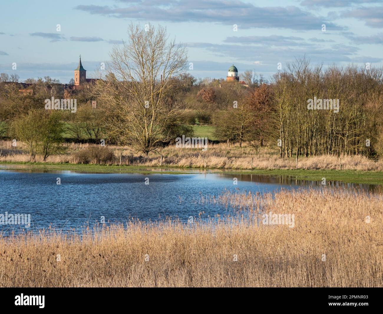 East bank of the Elbe River, along Elbe cycle route, floodplain at  village Lenzen, Germany Stock Photo