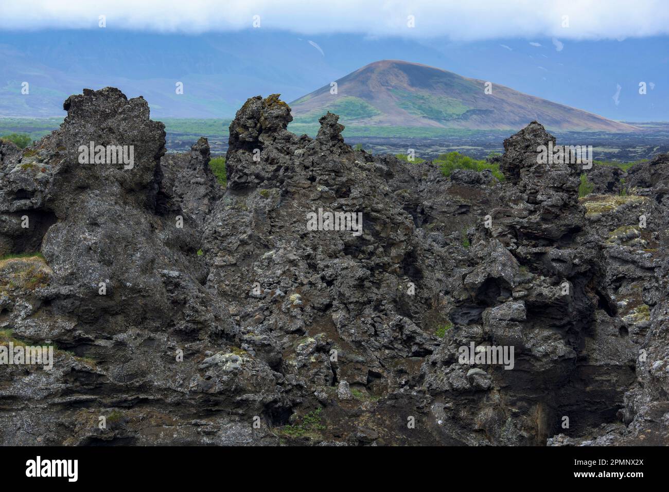 Dimmuborgir lava formations in Iceland; Iceland Stock Photo