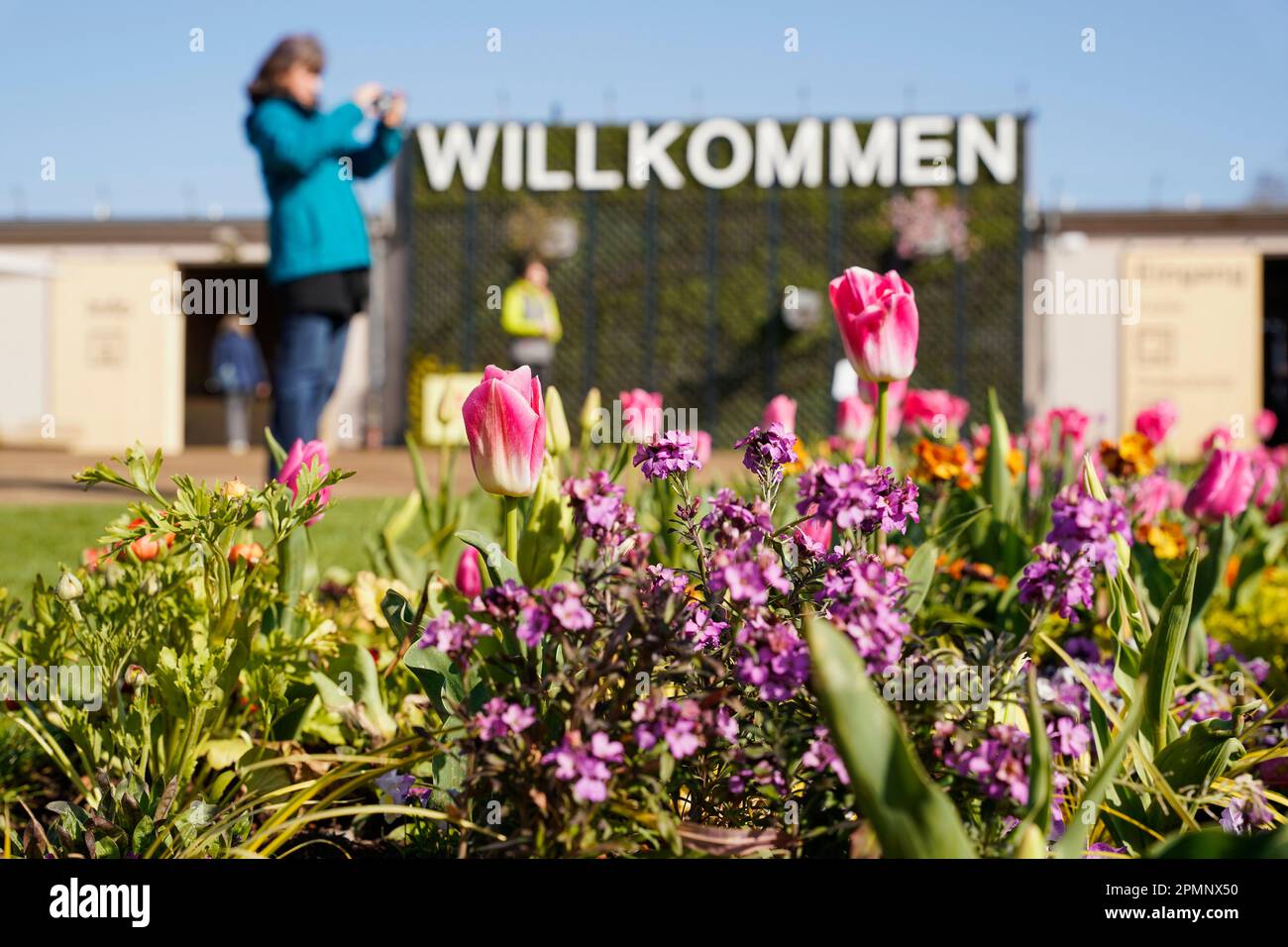 Mannheim, Germany. 14th Apr, 2023. A visitor photographs flowers in