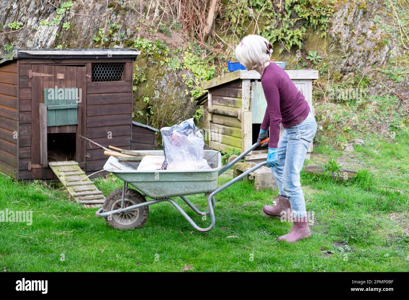 Older senior woman tidying garden yard with wheelbarrow and cleaning chicken shed hen house in country yard Carmarthenshire Wales UK KATHY DEWITT Stock Photo
