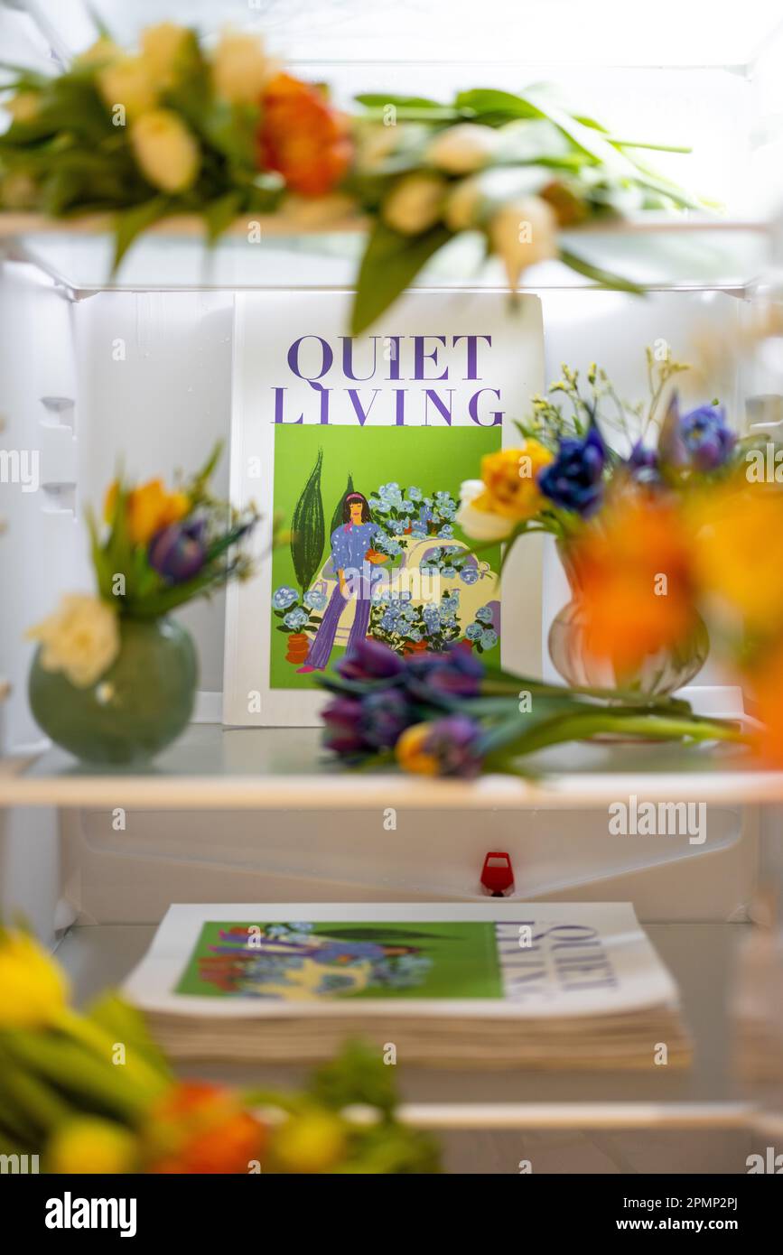Home fridge with fresh cutted flowers and magazine cover Stock Photo