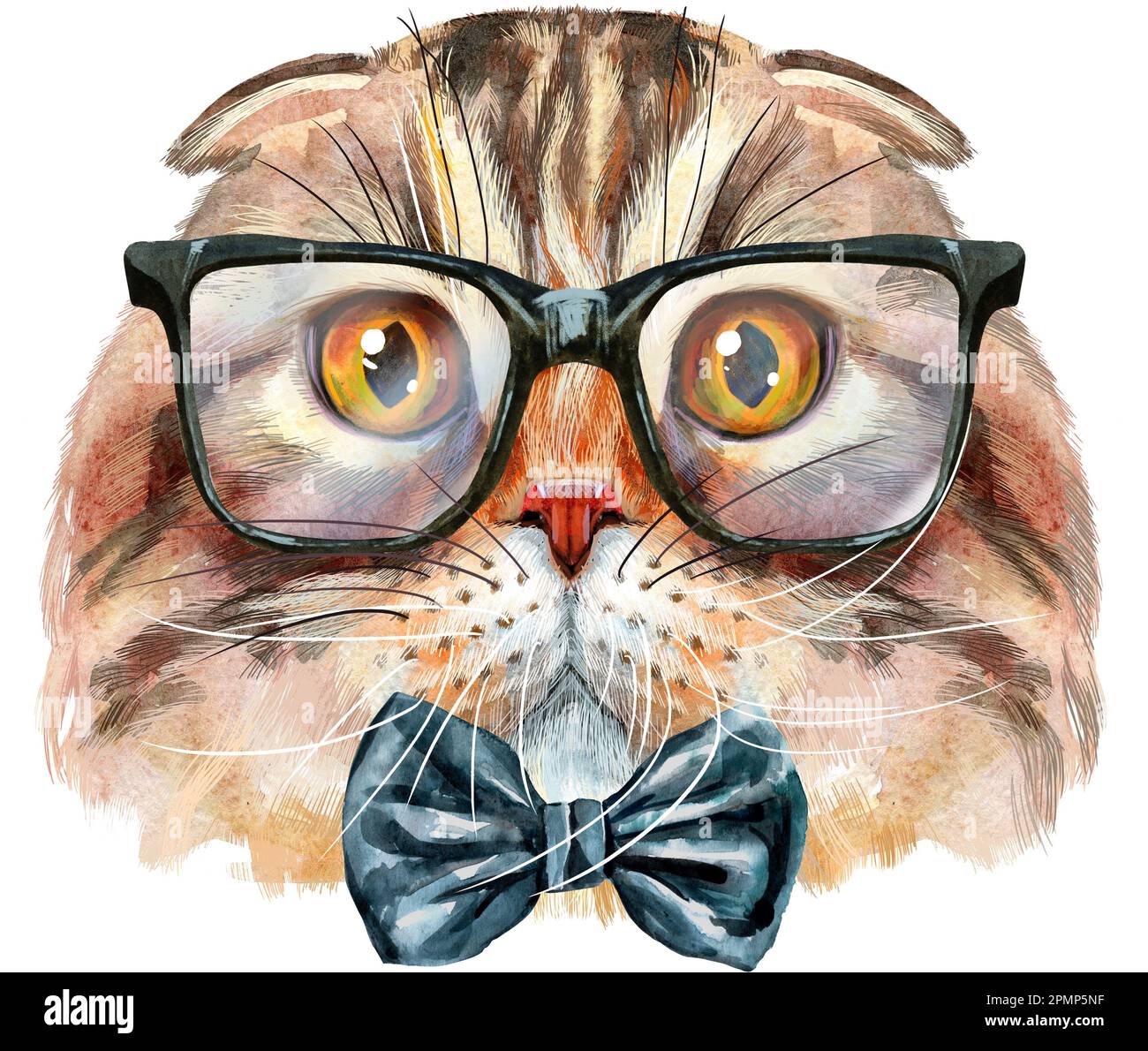 Cute cat in big black glasses and bow tie. Cat for t-shirt graphics