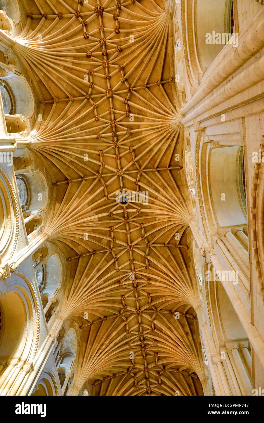 Norwich Cathedral Ceiling. Stock Photo