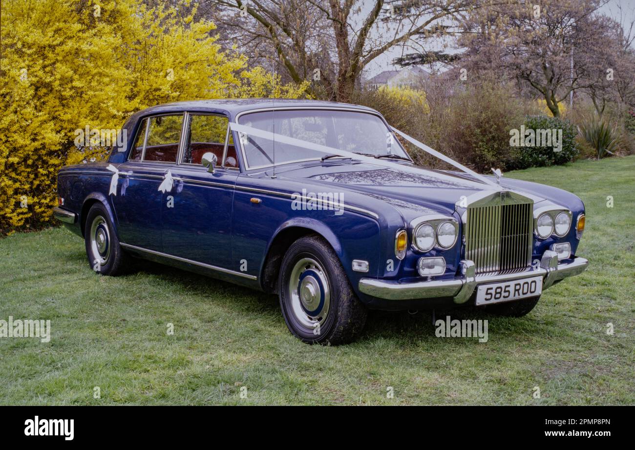 Blue Rolls royce car with wedding ribbons attached Stock Photo
