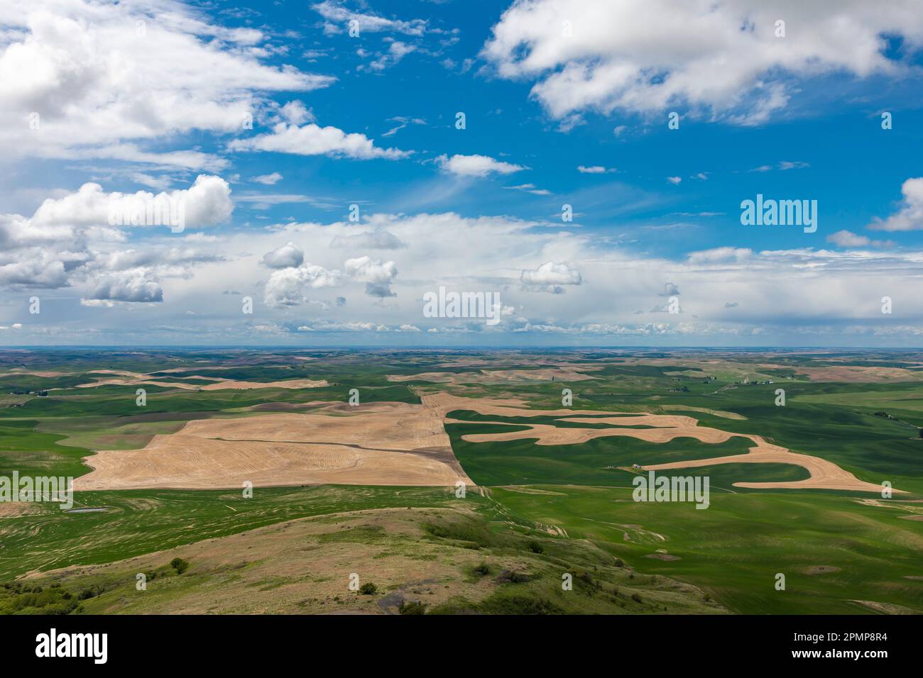 View of the vast landscape on a beautiful spring day overlooking the fertile agricultural fields of the Palouse area from Steptoe Butte State Park ... Stock Photo