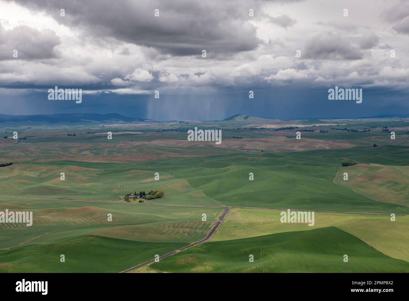 Localized rain storm or Squall as seen from the top of Steptoe Butte State Park in the Palouse County of Southeastern Washington, USA Stock Photo