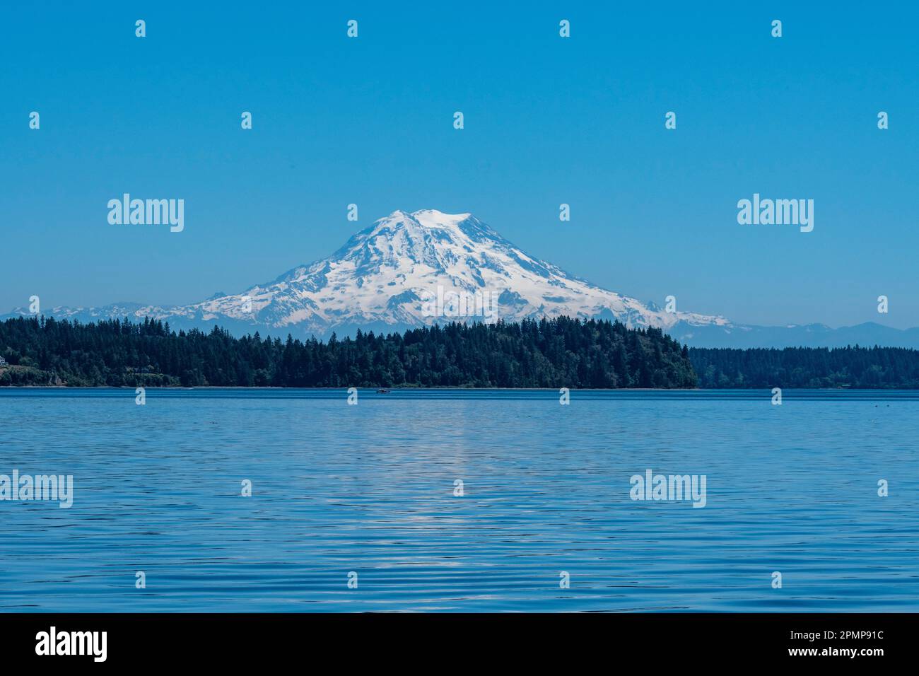 Mount Rainier as seen from Dana Passage in the South Puget Sound near Boston Harbor, Washington, 60 miles away Stock Photo