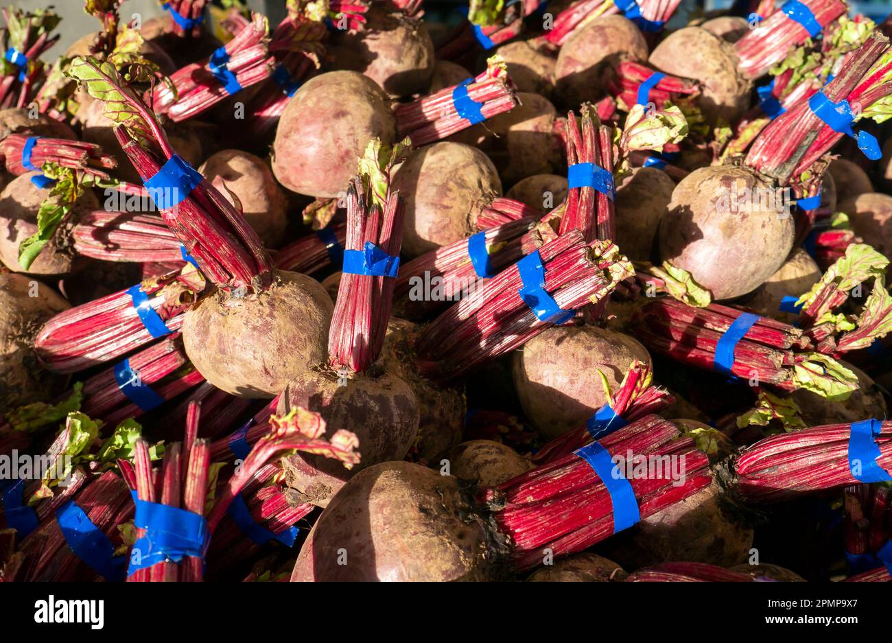 Supermarket gardening hi-res stock photography and images - Alamy
