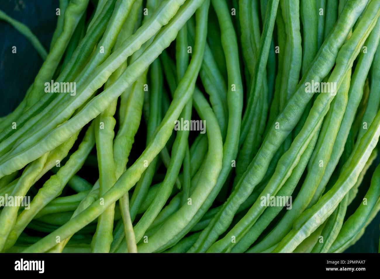 Asparagus green beans. cowpea. Natural eco friendly vegetarian food