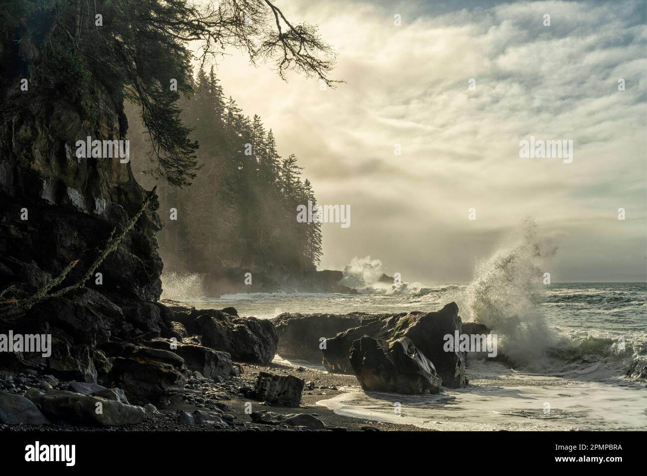 Waves crash against the wild coastline of Vancouver Island at Sombrio Beach; Port Renfrew, British Columbia, Canada Stock Photo