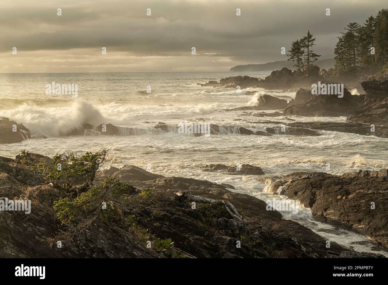 Wild waves crash on the coast line of Vancouver Island at Port Renfrew; Port Renfrew, British Columbia, Canada Stock Photo