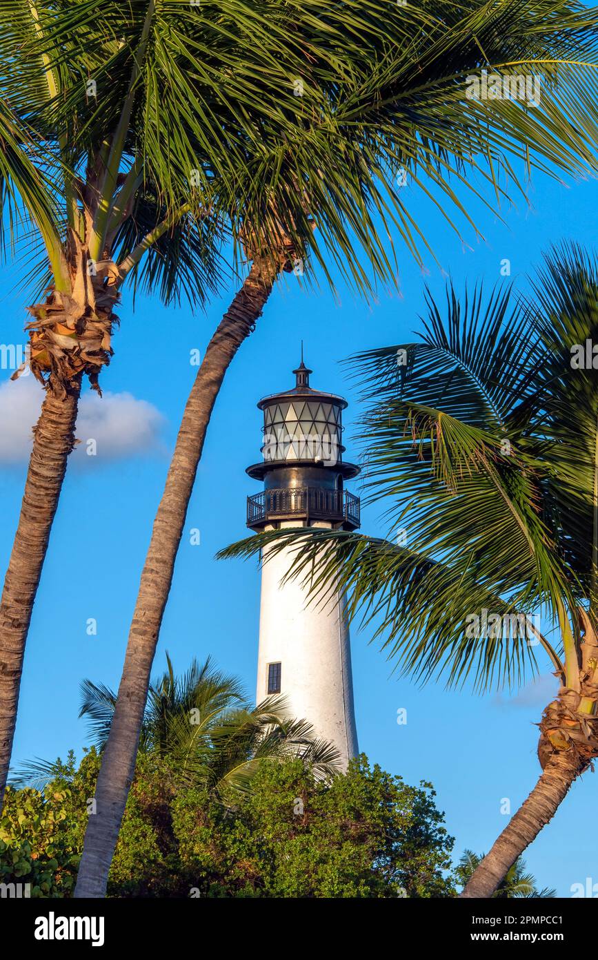 Cape Florida Light and palm trees on a beautiful, sunny day in Florida, USA; Florida, United States of America Stock Photo