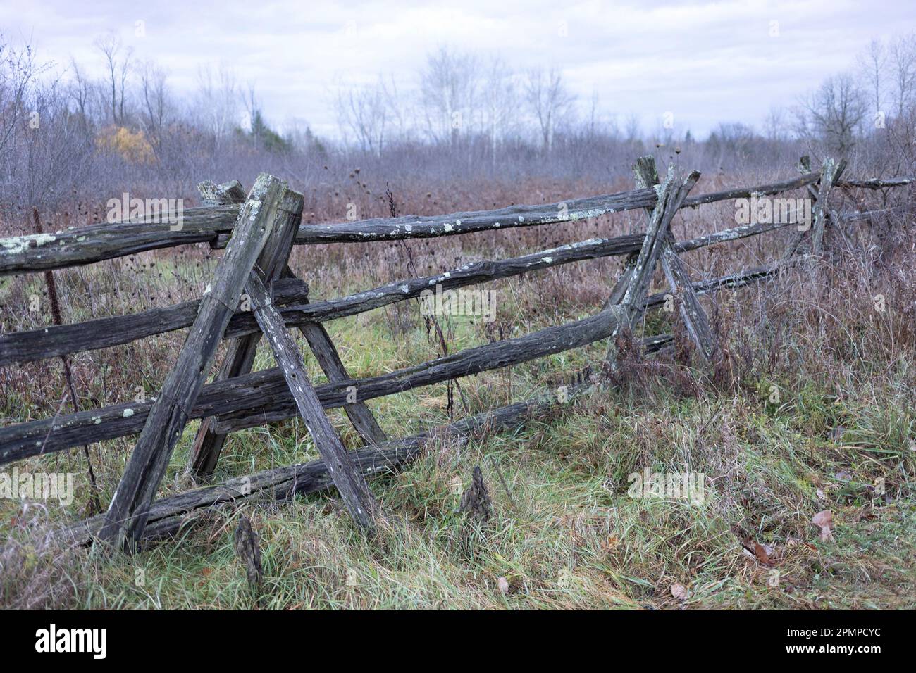 Fences and trees hi-res stock photography and images - Alamy