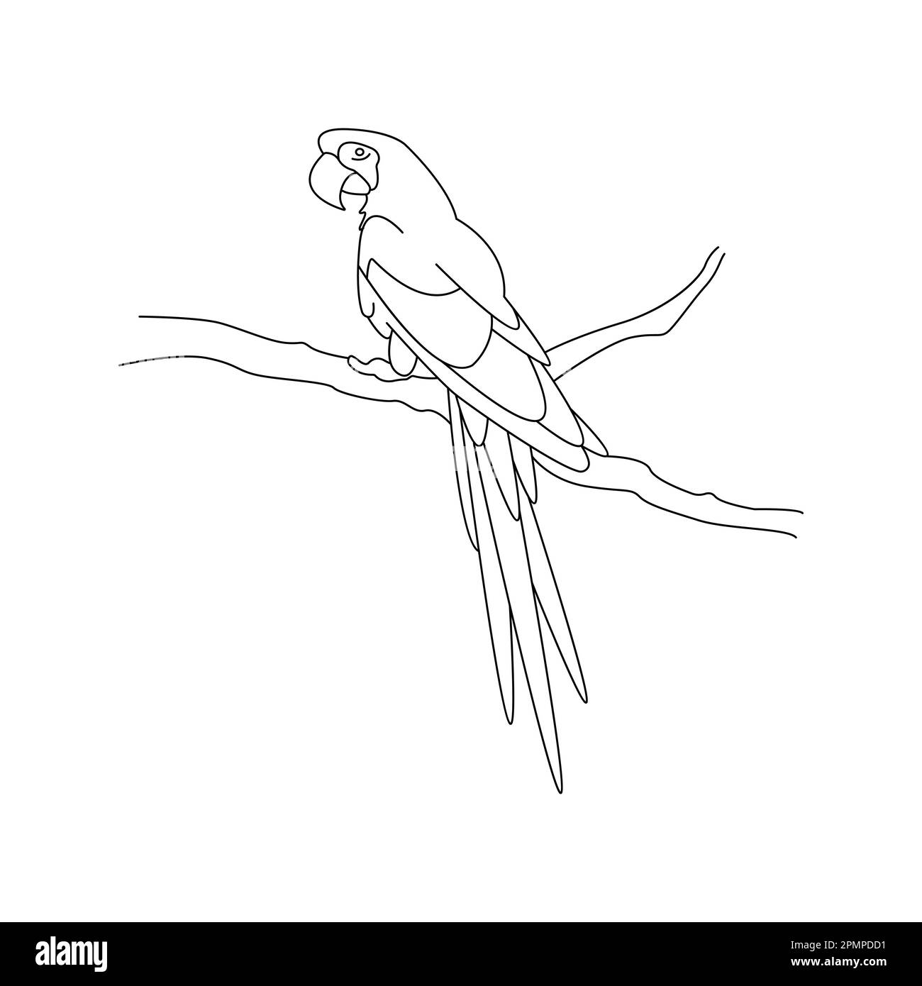 Cute cartoon macaw parrot sitting on a branch. Isolated vector