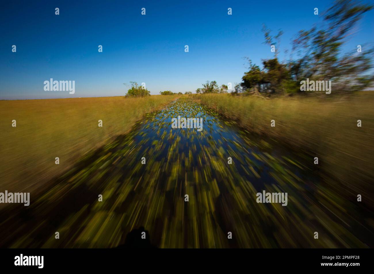 Wake of a safari airboat ride in Everglades National Park, Florida, USA