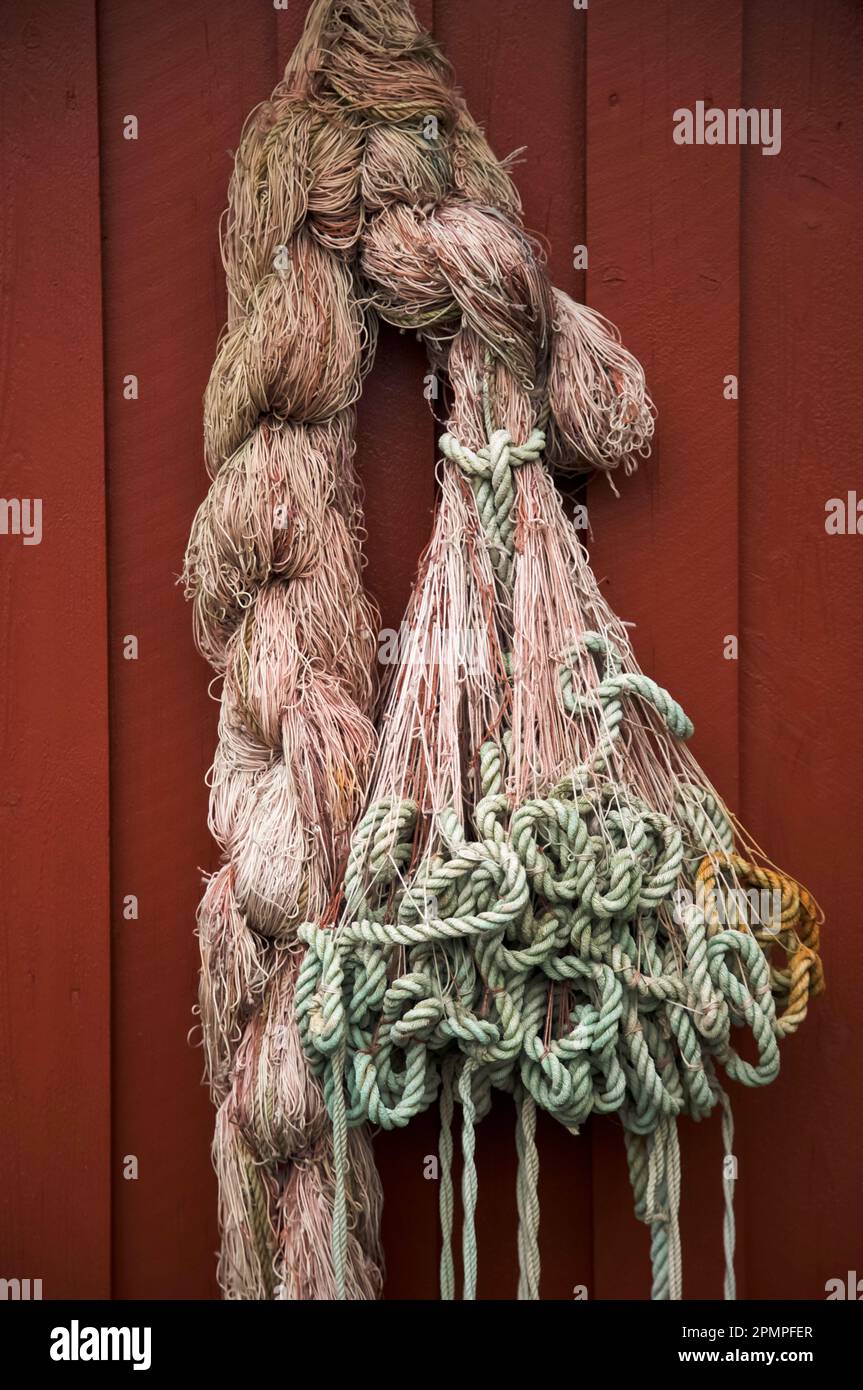 fallout 4 douglas treasure hanging in fishing net Polyester Seine : Nets : Sports & Outdoors Fallout 4 - Killing Douglas