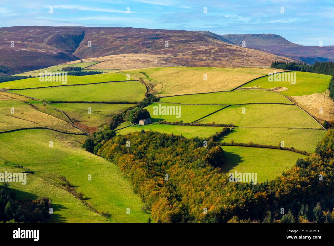 Typical Peak District National Park landscape near Ladybower Reservoir in the High Peak area of Derbyshire England UK with farmland and moors above. Stock Photo