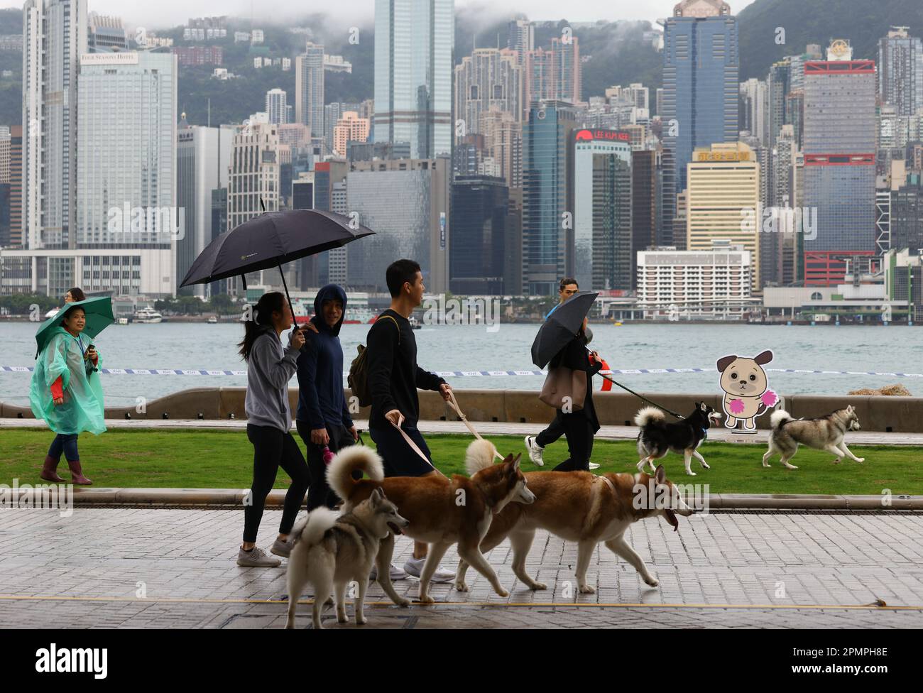 Dog lovers and their pet dogs participate the Charity Walk at the