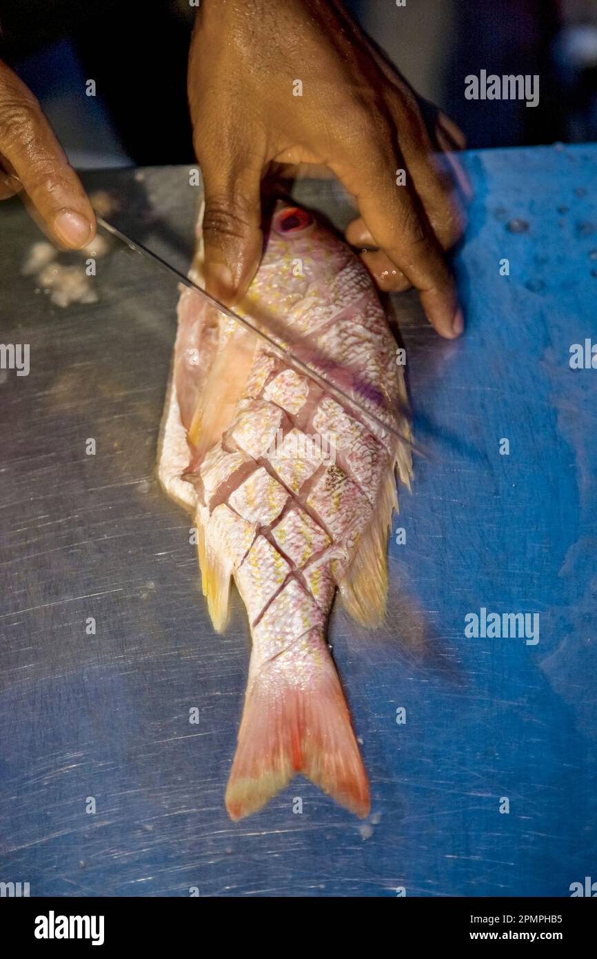 Chef preparing a fish; Bluefields Bay, Jamaica Stock Photo