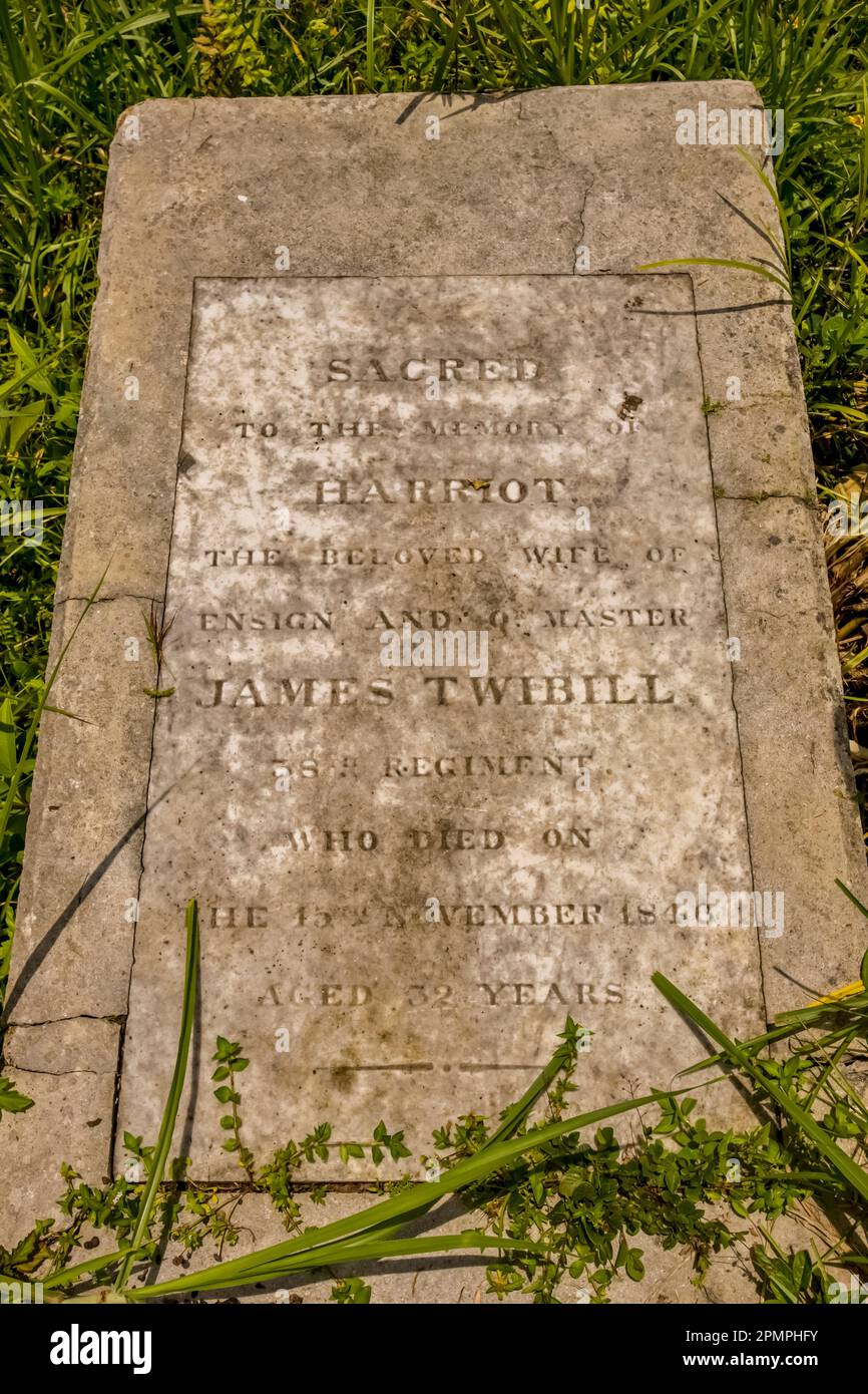 Cracked gravestone of James Twibill, a British soldier, in Cockpit Country; Cockpit Country, Jamaica, West Indies Stock Photo