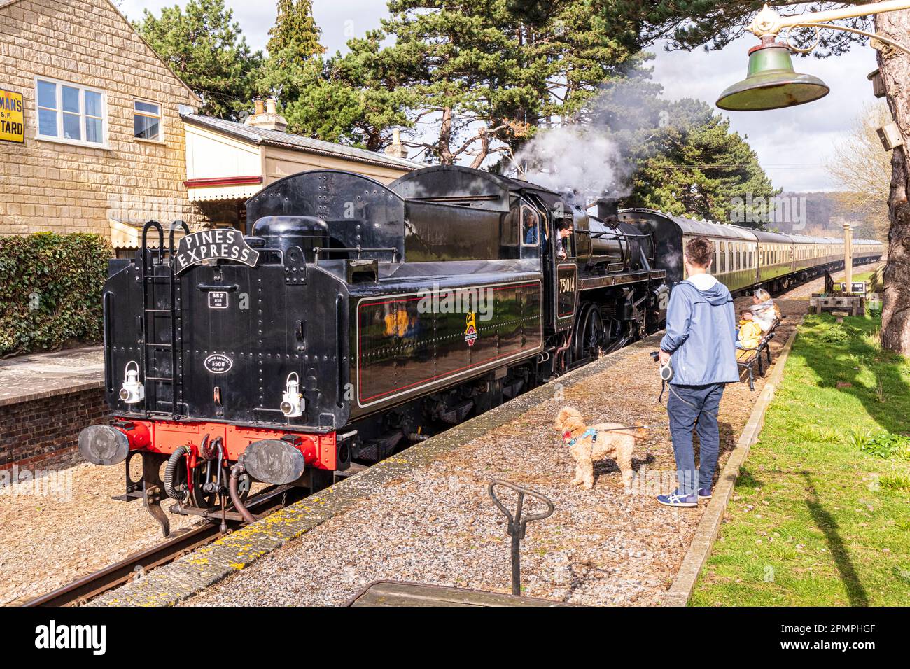 Passengers & dog awaiting the arrival of a steam train pulled by Braveheart, British Railways Standard class 4 4-6-0 No. 75014 at Gotherington Station Stock Photo