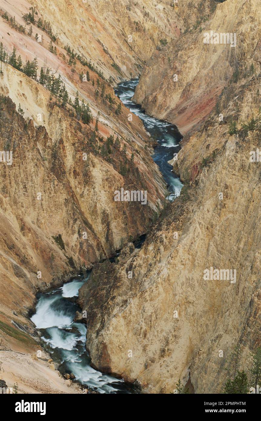 Aerial view of the Yellowstone River snaking through a canyon in Yellowstone National Park, Wyoming, USA; Wyoming, United States of America Stock Photo