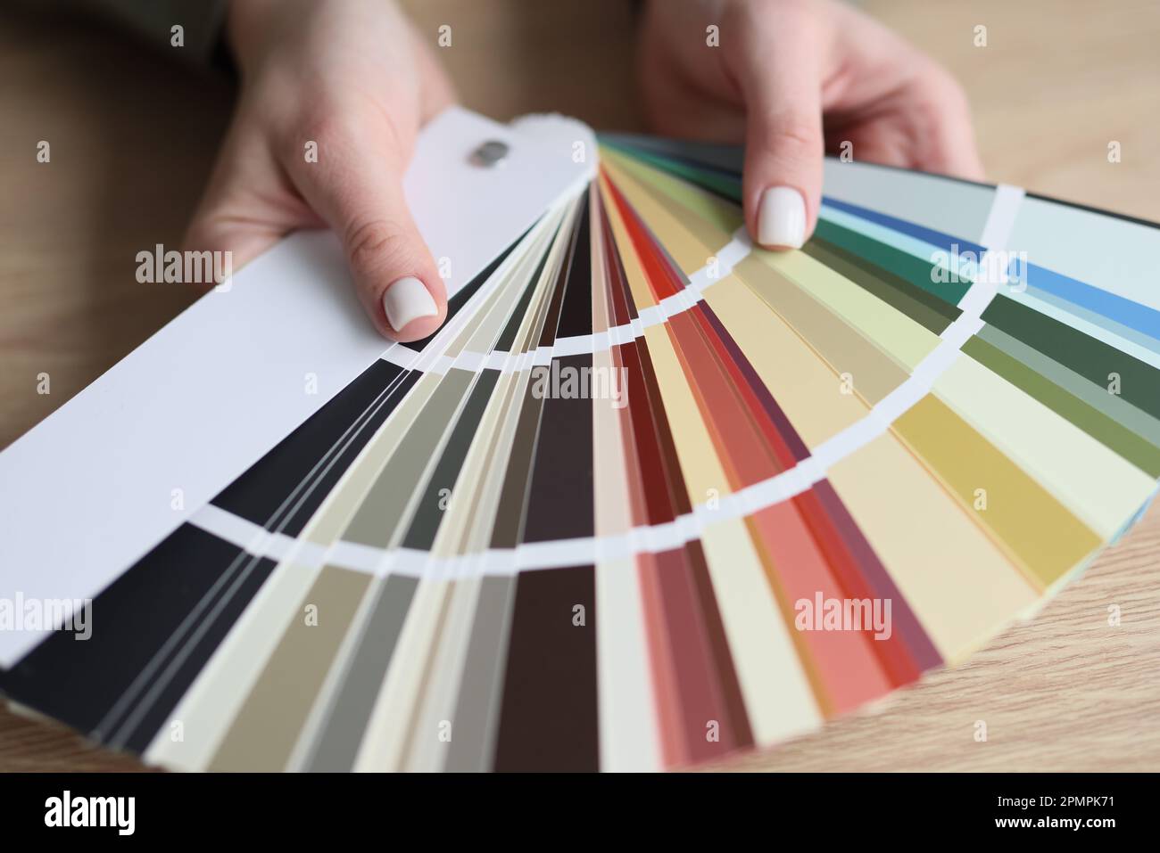 Color palette offers hi-res stock photography and images - Alamy
