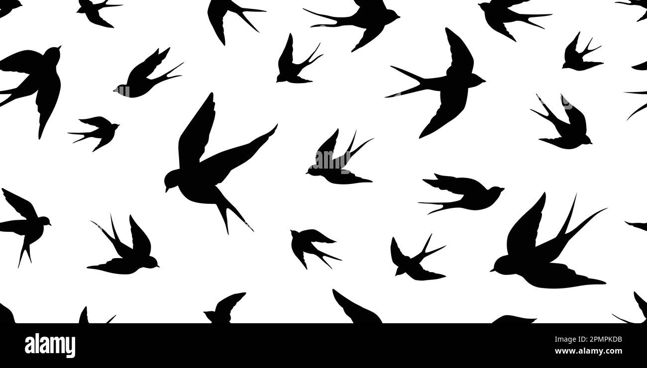 bird seagull Swallow pigeon vector Seamless Pattern isolated wallpaper background Stock Vector