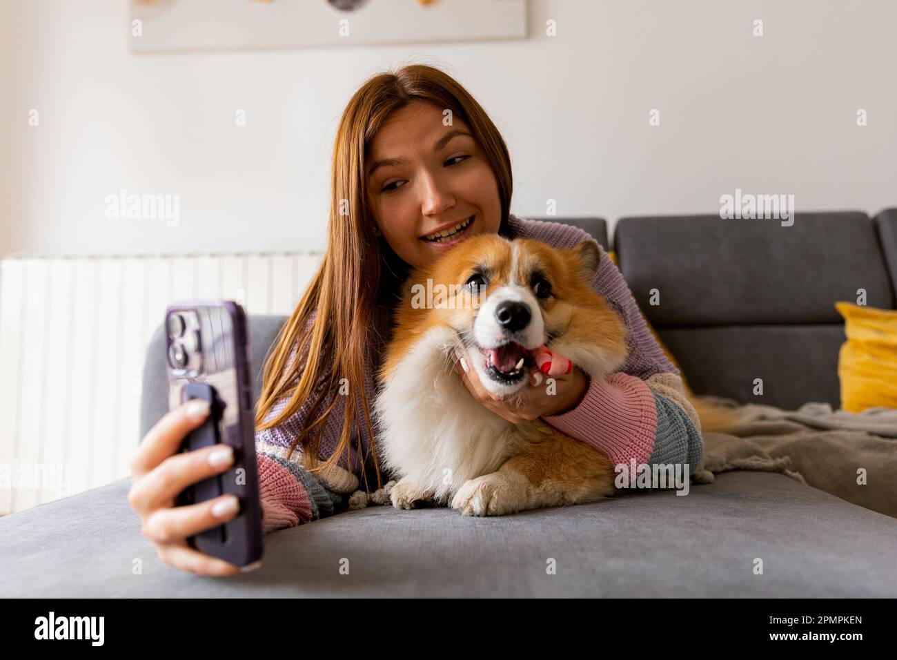 a young girl with a corgi dog and taking selfie with pet on smartphone ...