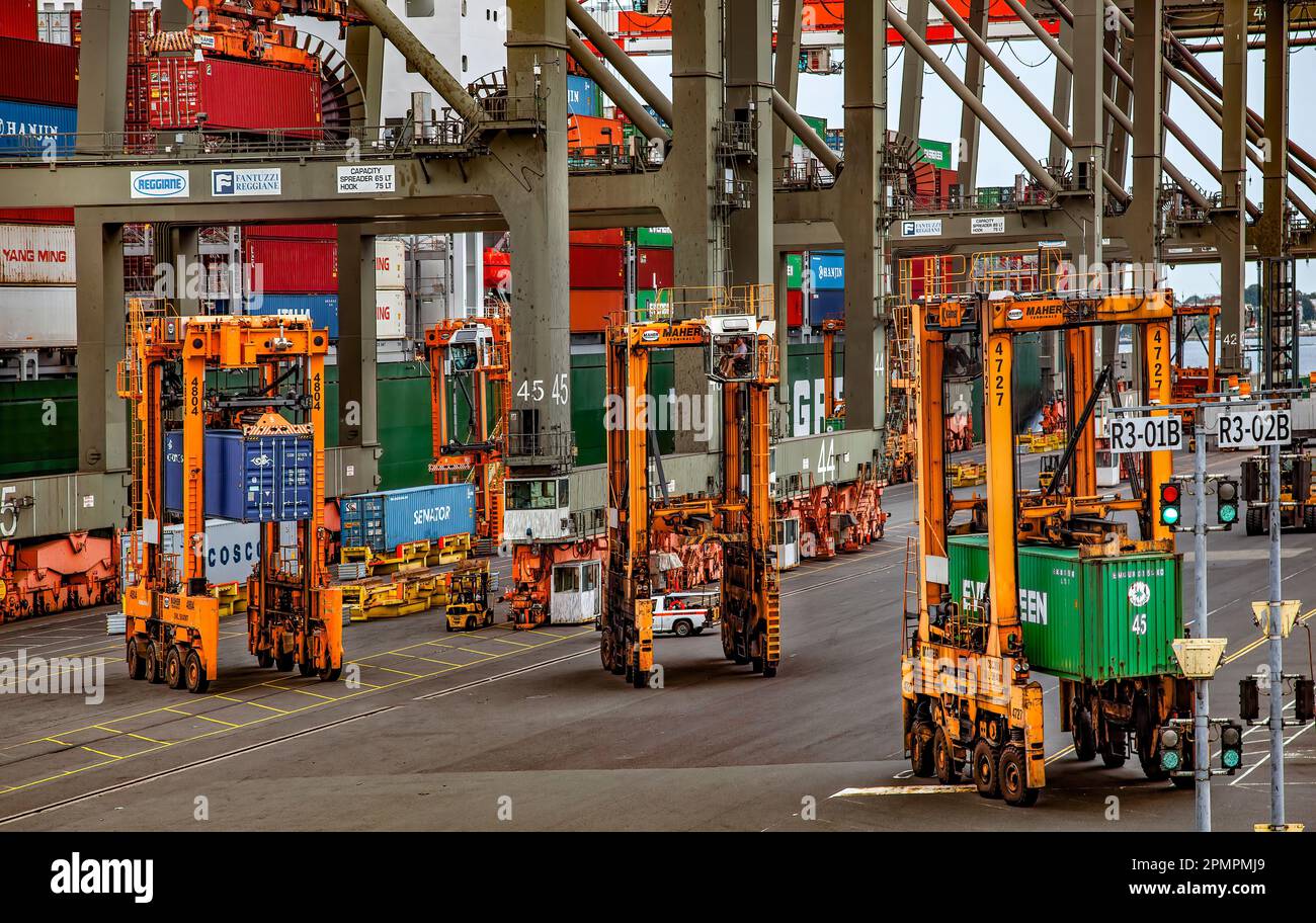 Straddles and Cranes Moving Shipping Containers, Container Shipping Yard, Port of Elizabeth, Newark, New Jersey Stock Photo