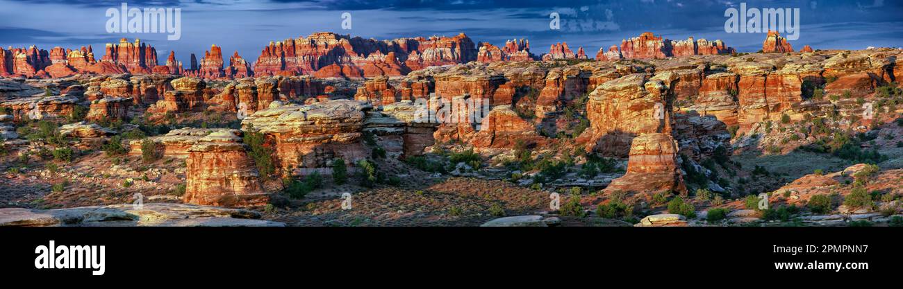 The Needles, Canyonlands National Monument (southern area) Utah Stock Photo