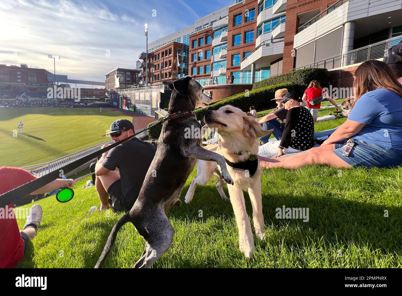 The durham bulls park stadium hi-res stock photography and images - Alamy