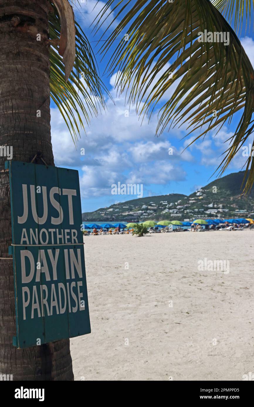 Just Another Day in Paradise sign on palm tree by Caribbean beach Stock Photo