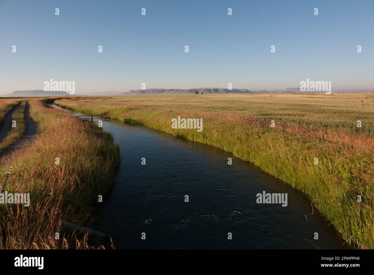 Irrigation canal in the Sun River Valley, near Fort Shaw, MT Stock