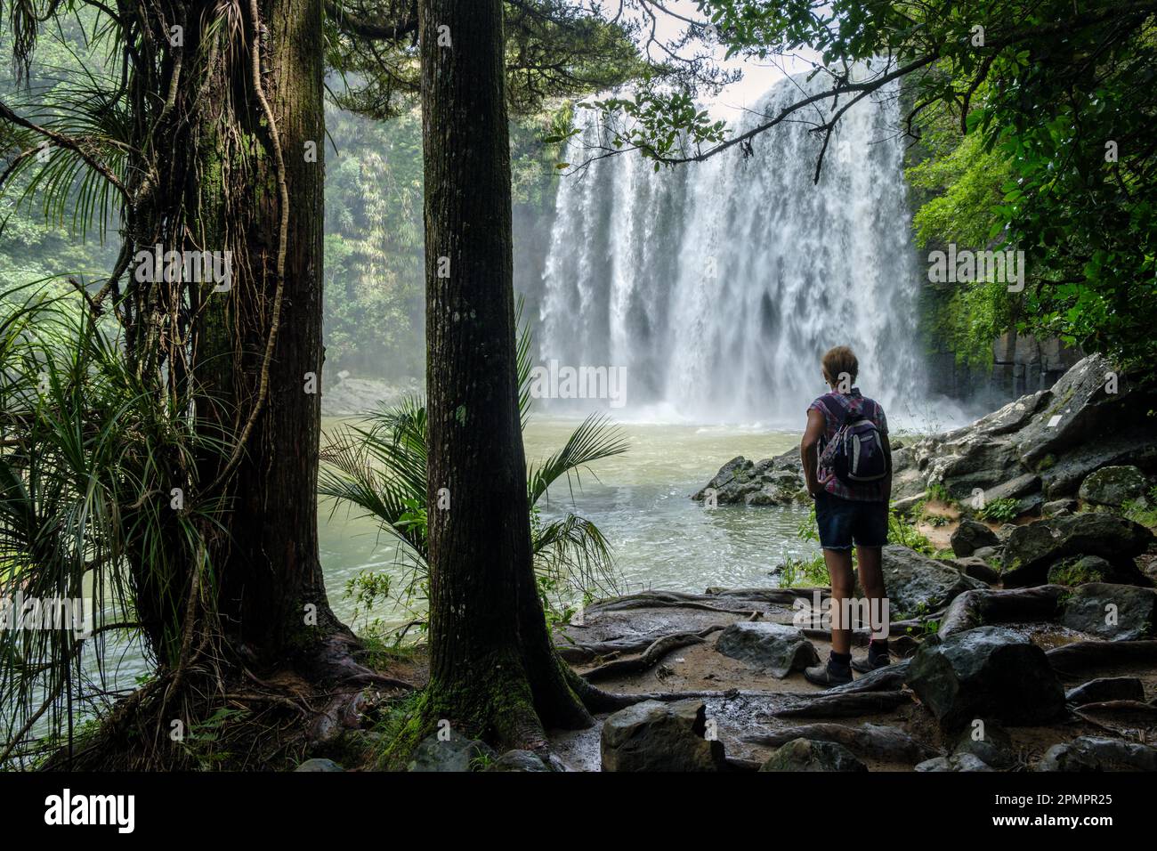 Whangarei Falls on the Hatea River, Northland, North Island, New Zealand Stock Photo
