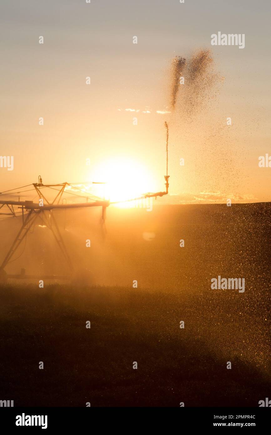 Setting sun provides dramatic light through centerpivot end gun